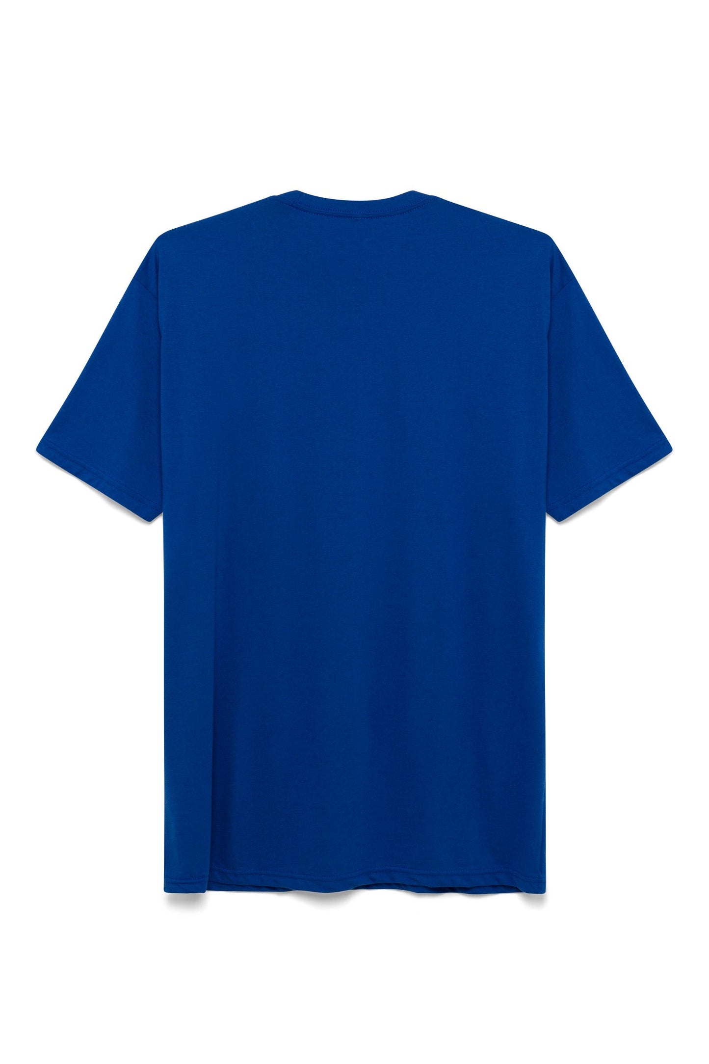 DDE classic tee (blue)