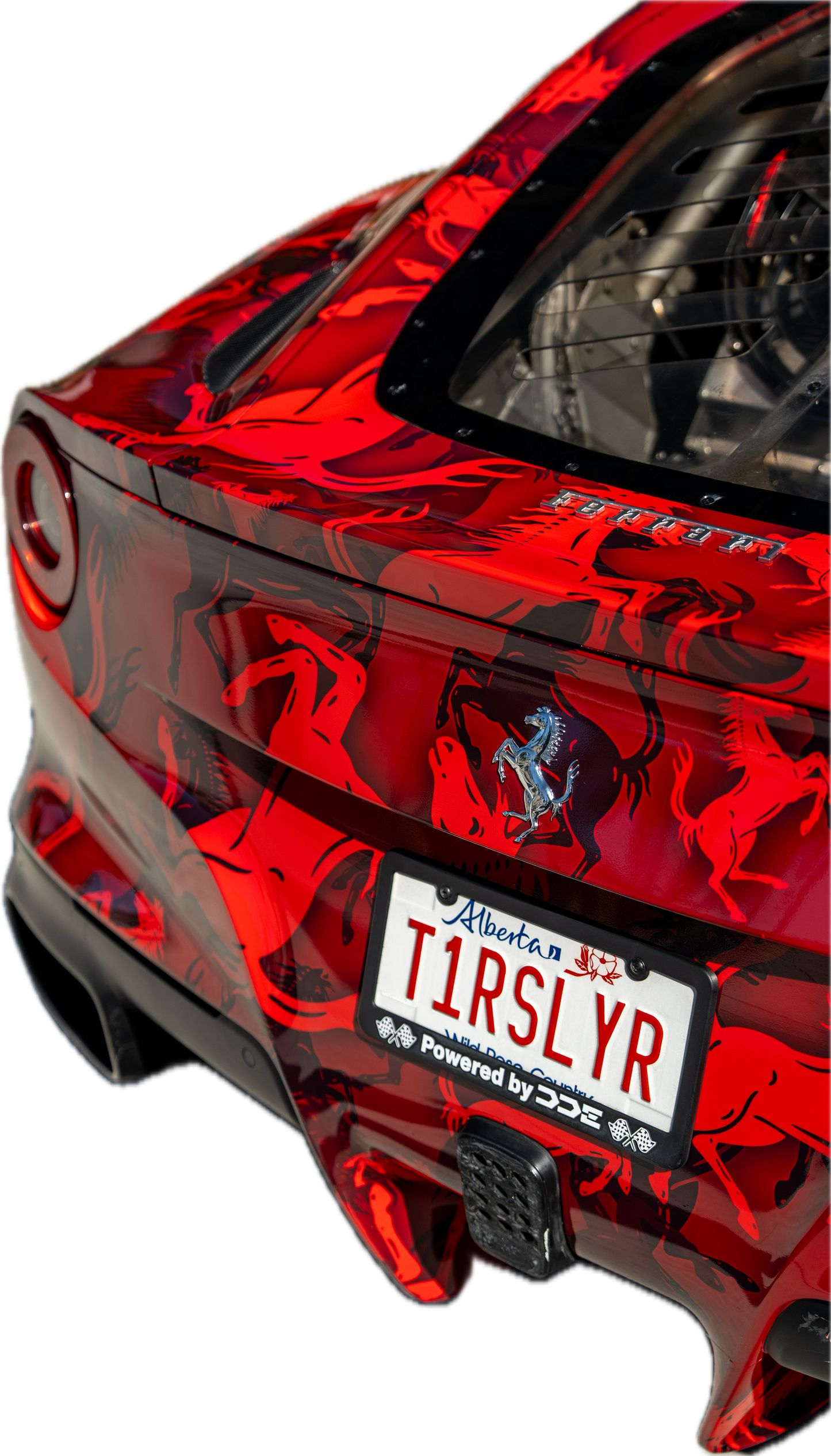 T1RSLYR poster