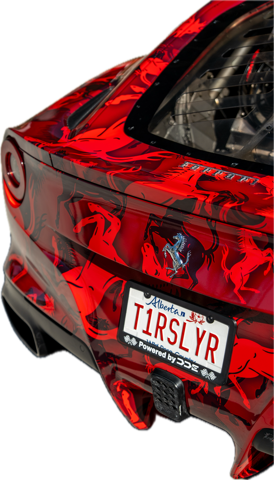 T1RSLYR poster